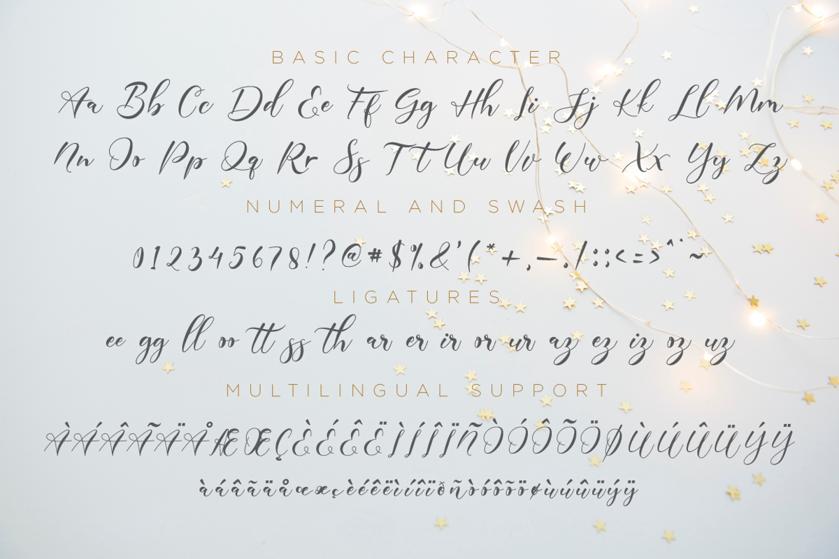 Poppy Shower // Modern Script preview 7