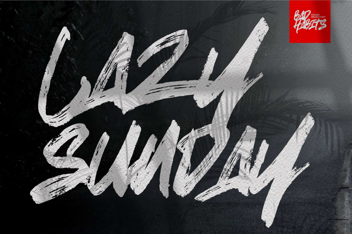 Bad Habits - Rough Brush font, a Script Font by Gassstype (Photo 3 of 10)
