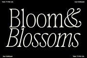 TAN-MIDSUMMER- DUO FONT, a Serif Font by TanType (Thumbnail 3 of 10)
