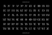 Dupioni - 6 font family, a Serif Font by Silktype (Thumbnail 21 of 21)