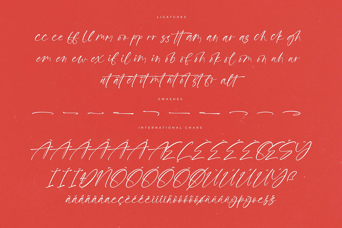 Petalik Glisten Modern Script Font, a Script Font by Letterena Studios Script (Photo 14 of 15)