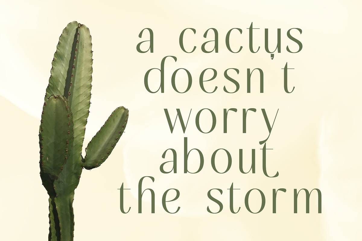 Mugia Elegant Modern Display Font, a Sans Serif Font by timelesstype.co (Photo 12 of 20)