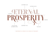 Brioche - (Light & Bold), a Serif Font by Sarid Ezra (Thumbnail 3 of 6)
