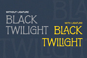Prologue - Rough Serif, a Serif Font by Alpaprana (Thumbnail 5 of 9)