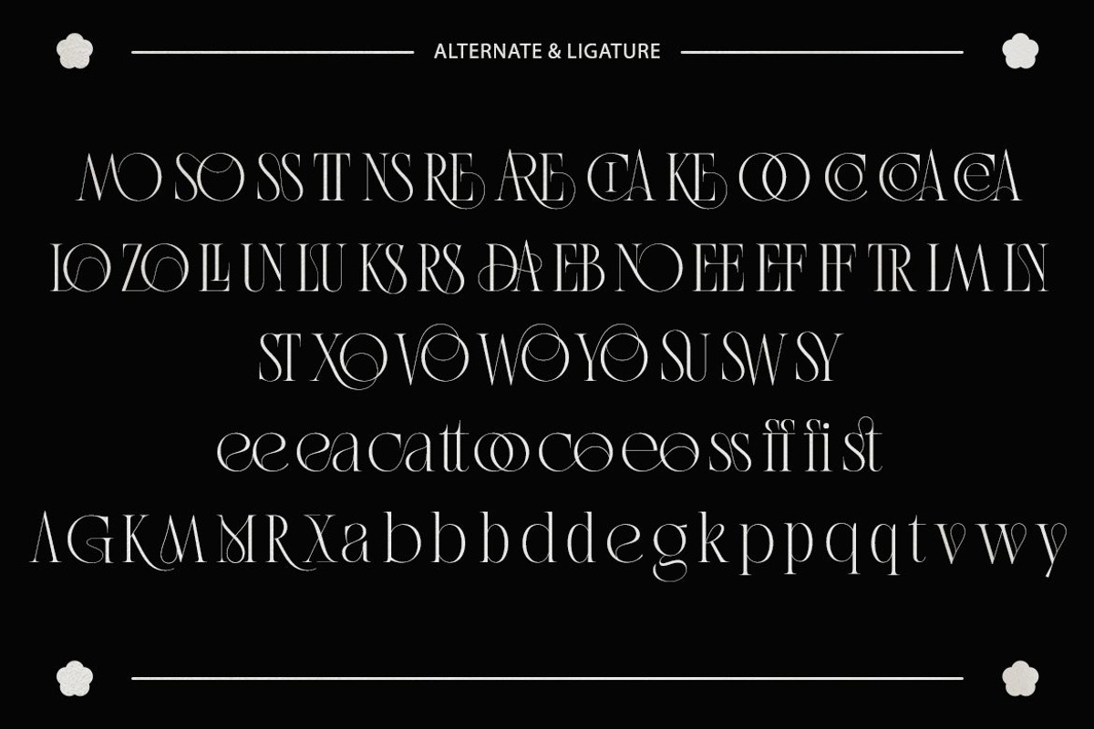 Aestica – Elegant Stylish Serif Font, a Serif Font by kangfont Studio (Photo 5 of 10)