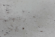 Mold Wall Texture Pack, a Texture Graphic by The_DrX (Thumbnail 6 of 13)