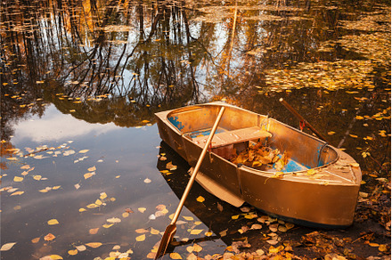 Golden wooden boat, a Nature Photo by Jan Jack Russo Media