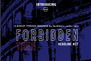 Forbidden tree roughded /forzatype, a Sans Serif Font by ForzaType (Thumbnail 4 of 9)