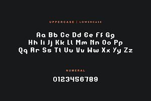 Bolgeho - Thick & Logo Font