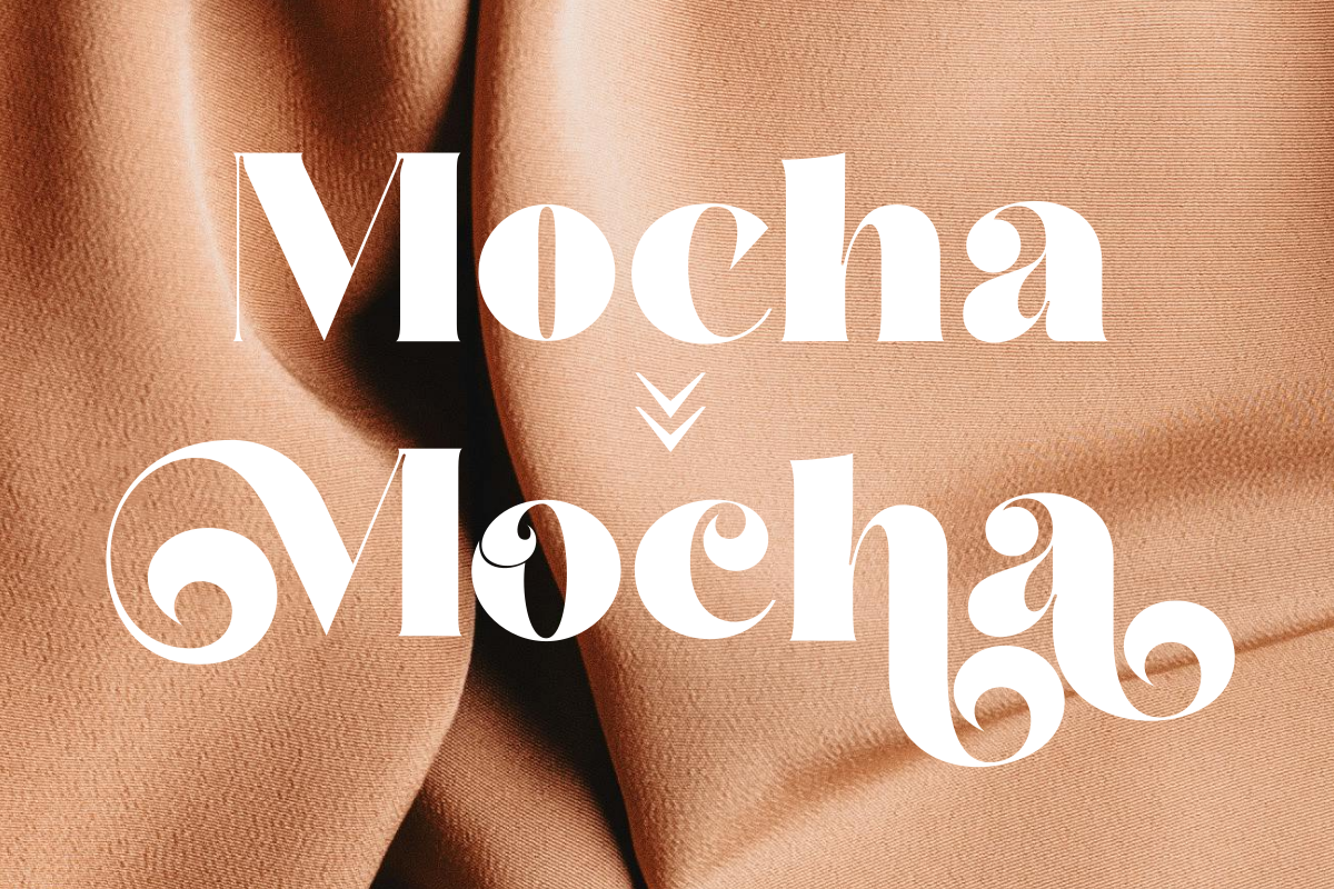 Stailo, a Serif Font by zaaintype (Photo 12 of 12)