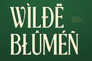 CS Reign Drawn, a Serif Font by Craft Supply Co. (Thumbnail 5 of 8)