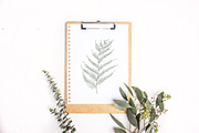 Hand drawn flowers set and seamless, a Decorative Illustration by Good Studio (Thumbnail 8 of 11)