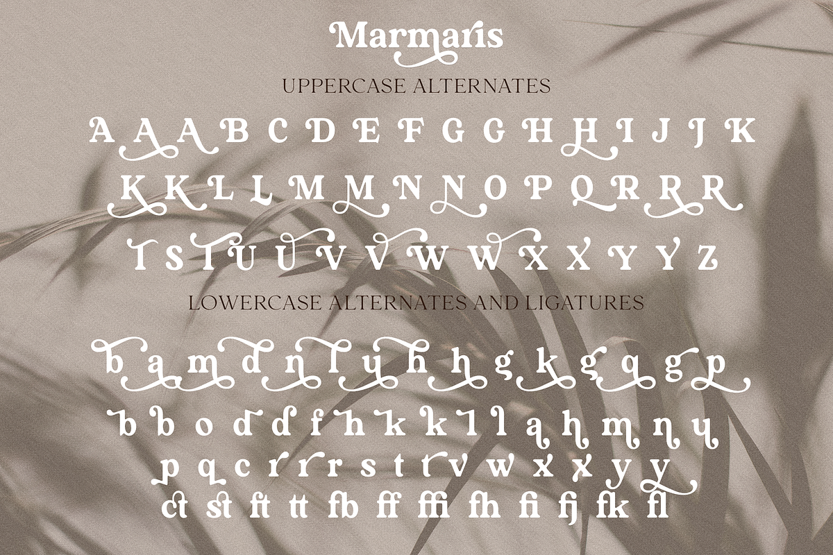 Marmaris, a Serif Font by Larin Type Co. (Photo 15 of 15)