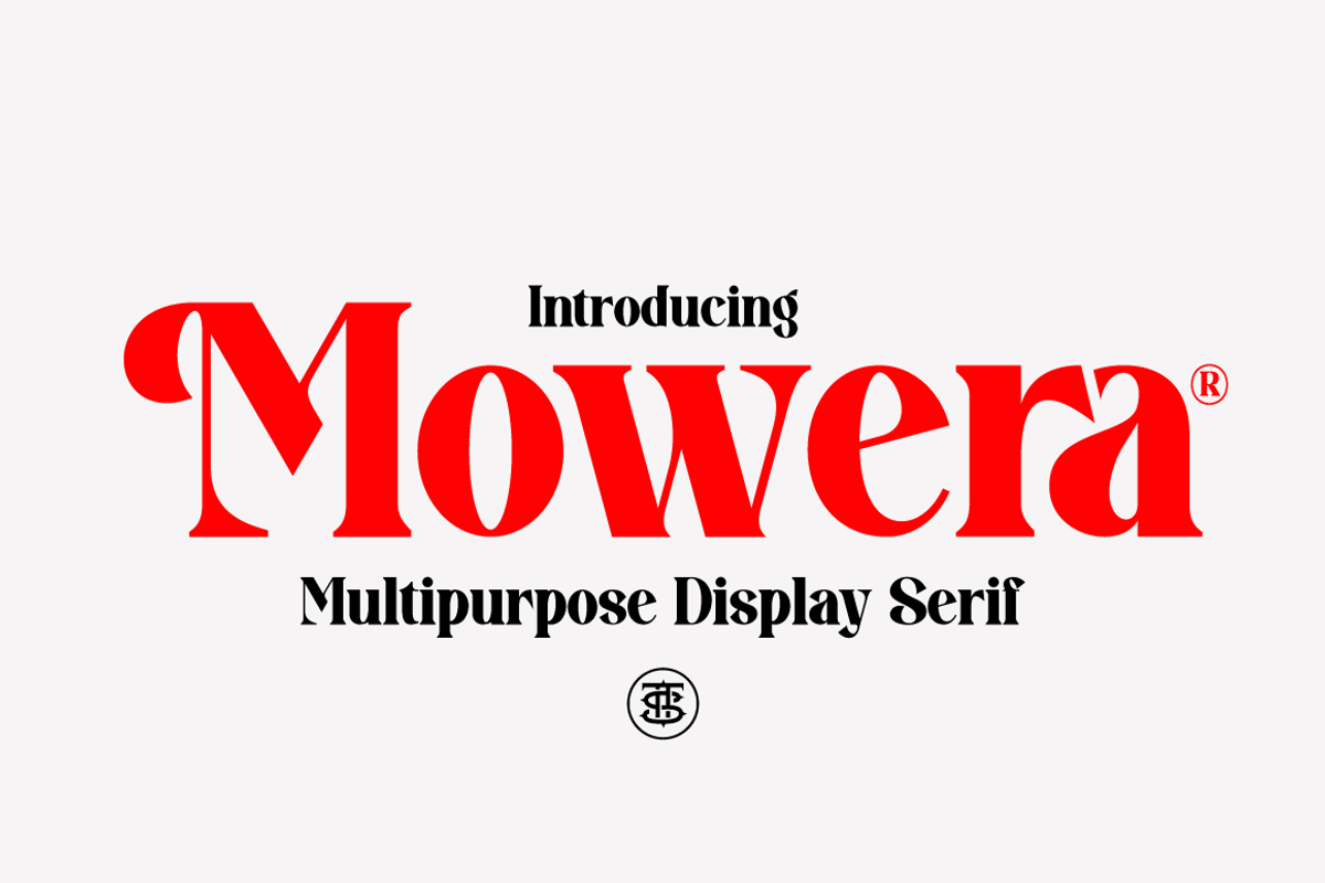 Mowera - Bold Serif, a Serif Font by tebaltipislab (Photo 1 of 15)
