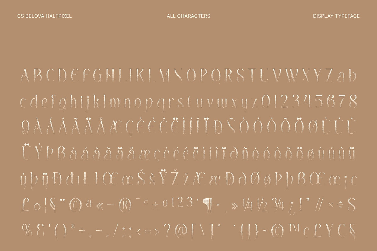 CS Belova Halfpixel, a Serif Font by Craft Supply Co. (Photo 8 of 8)
