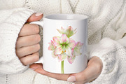 Botanical art - amarillis flowers, an Object Graphic by ViktoriArt (Thumbnail 9 of 14)