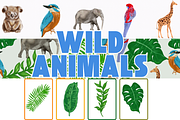 Wildlife Animals Set, an Animal Illustration by AMMi (Thumbnail 1 of 4)
