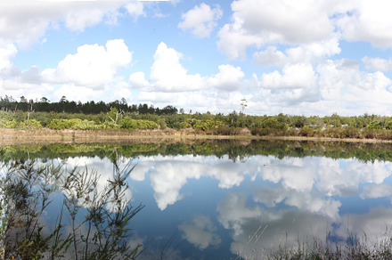 Lake in Gold Head Branch State Park