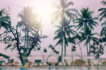 Background with Tilt-Shift Effect, a Nature Photo by Daria Photo