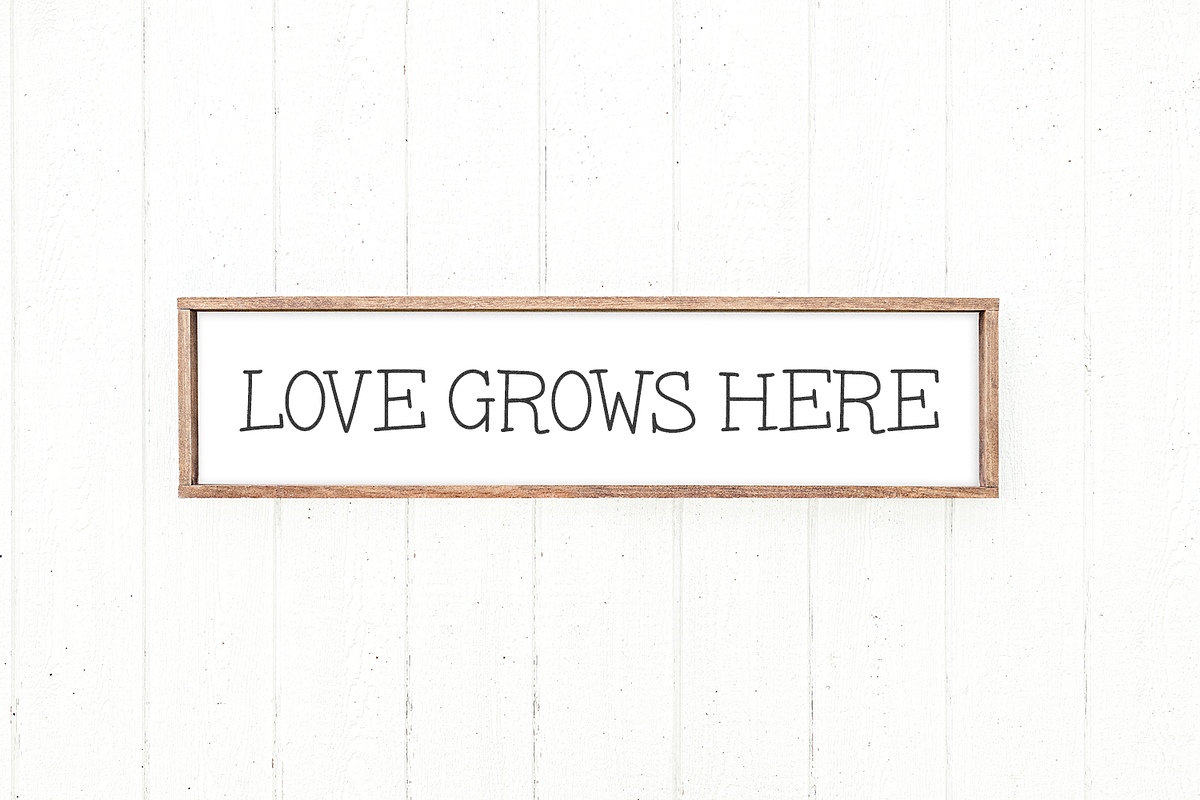 Snapdragon Serif Font, a Handwritten Font by Beck McCormick (Photo 9 of 10)