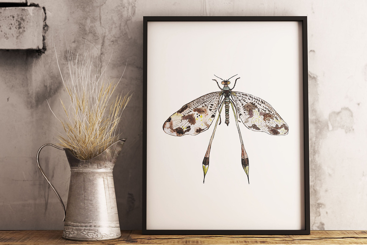 DRAGONFLIES. Watercolor clipart, an Illustration by digital_essence (Photo 9 of 10)