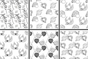 Hand drawn vector physalis.Tomatillo, a Decorative Illustration by Elena Mykhailenko (Thumbnail 6 of 9)