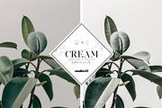 3 white interior lightroom presets, an Action Add-On by studio25 (Thumbnail 5 of 7)