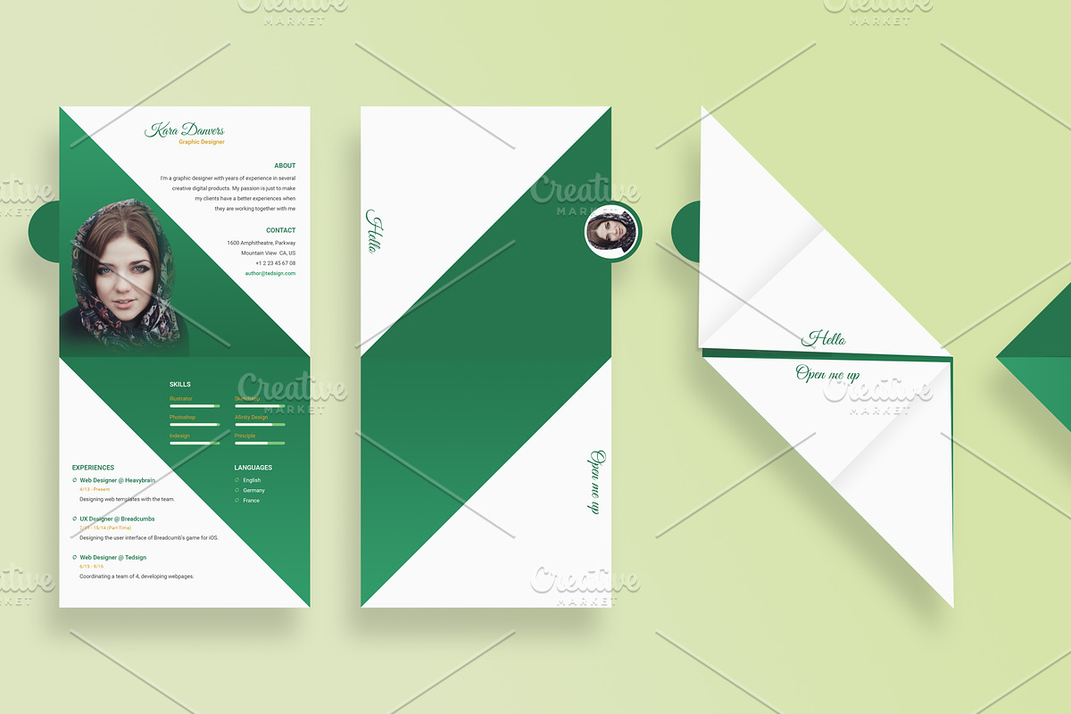 Curriculum Vited - Resume Template, a Resume Template by Ted-sign (Photo 6 of 8)