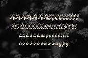Rolling Rhapsody Handwritten Script, a Script Font by gracetype_studio (Thumbnail 11 of 12)