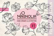 Flowers. Magnolia in vintage style, a Decorative Illustration by Alena Kaz (Thumbnail 1 of 5)
