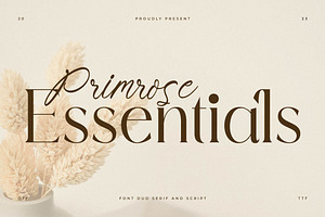 Primrose Essentials Font Duo