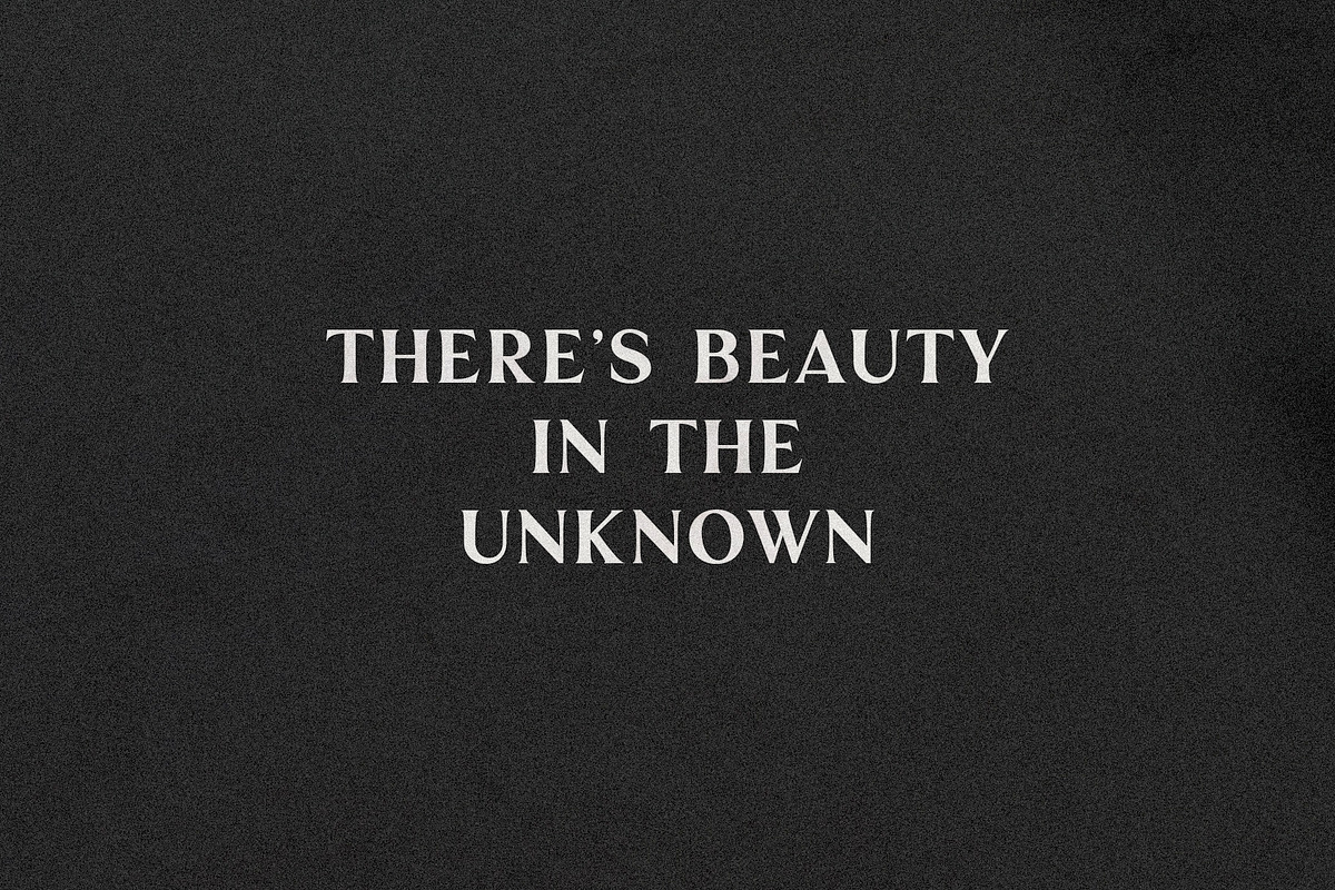 Palmer | A Classic Serif preview 5