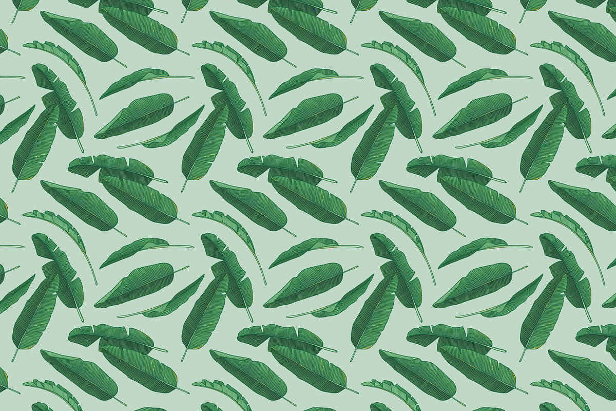 Banana leaves, an Illustration by Dunia (Photo 2 of 2)