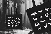 Bats. 40+ Hand-drawn Elements, an Animal Illustration by Vicccky (Thumbnail 5 of 5)