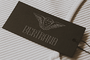 Quadrangle Stylish Serif, a Serif Font by Creatype Studio (Thumbnail 2 of 10)