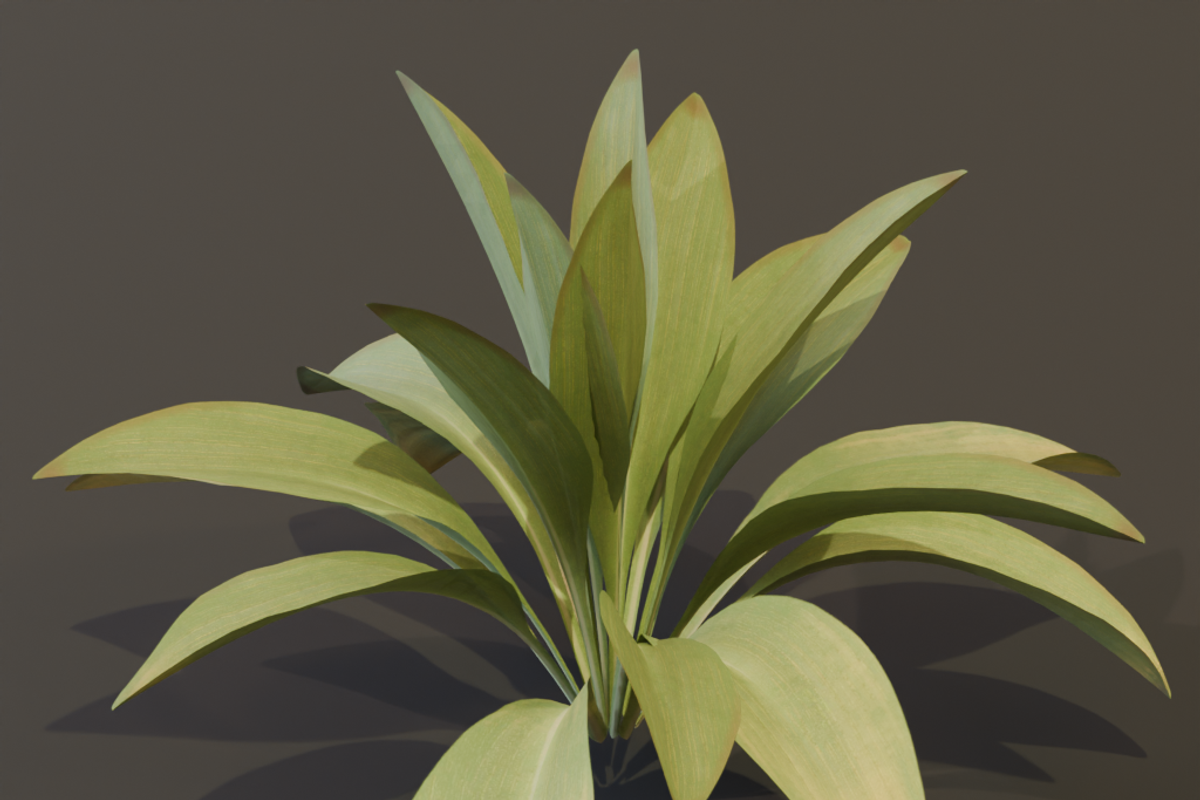 The Haran Bush, a Plants & Tree 3D Model by FuturePastCreatives (Photo 1 of 13)