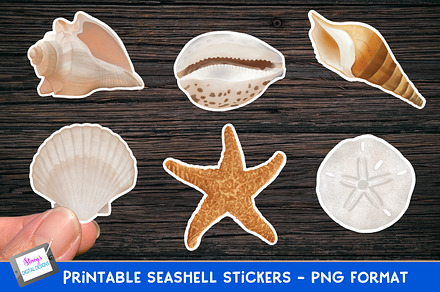 Seashell Stickers | 6 PNG Shells