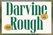 Darvine Rough, a Serif Font by Craft Supply Co. (Thumbnail 1 of 8)