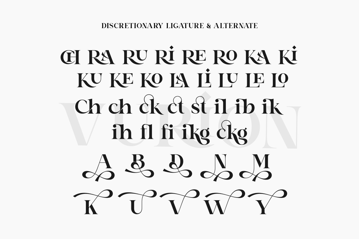 Vurion, a Serif Font by Zafiratype (Photo 10 of 10)