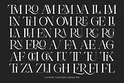Theron Enroma | 17 Font Style, a Serif Font by IM Studio (Thumbnail 7 of 9)