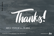 Mountain Grain Lettering Brush Duo, a Brush Add-On by Inky Pixels (Thumbnail 5 of 5)