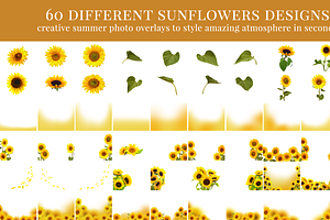 Sunflower Fields Photo Overlays