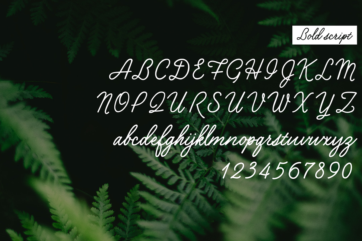 Secret Garden | Classic Font Duo, a Script Font by ElleMarieCalligraphy (Photo 14 of 21)