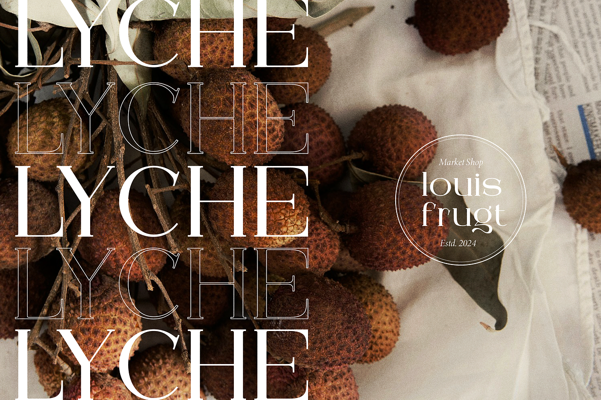 Arleon Domenk Display Elegant Serif, a Serif Font by Denustudios (Photo 10 of 15)