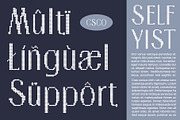 Ansela Disco, a Sans Serif Font by Craft Supply Co. (Thumbnail 6 of 8)