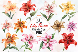 Lily Flower Watercolor Cliparts, an Illustration by RobertsArt