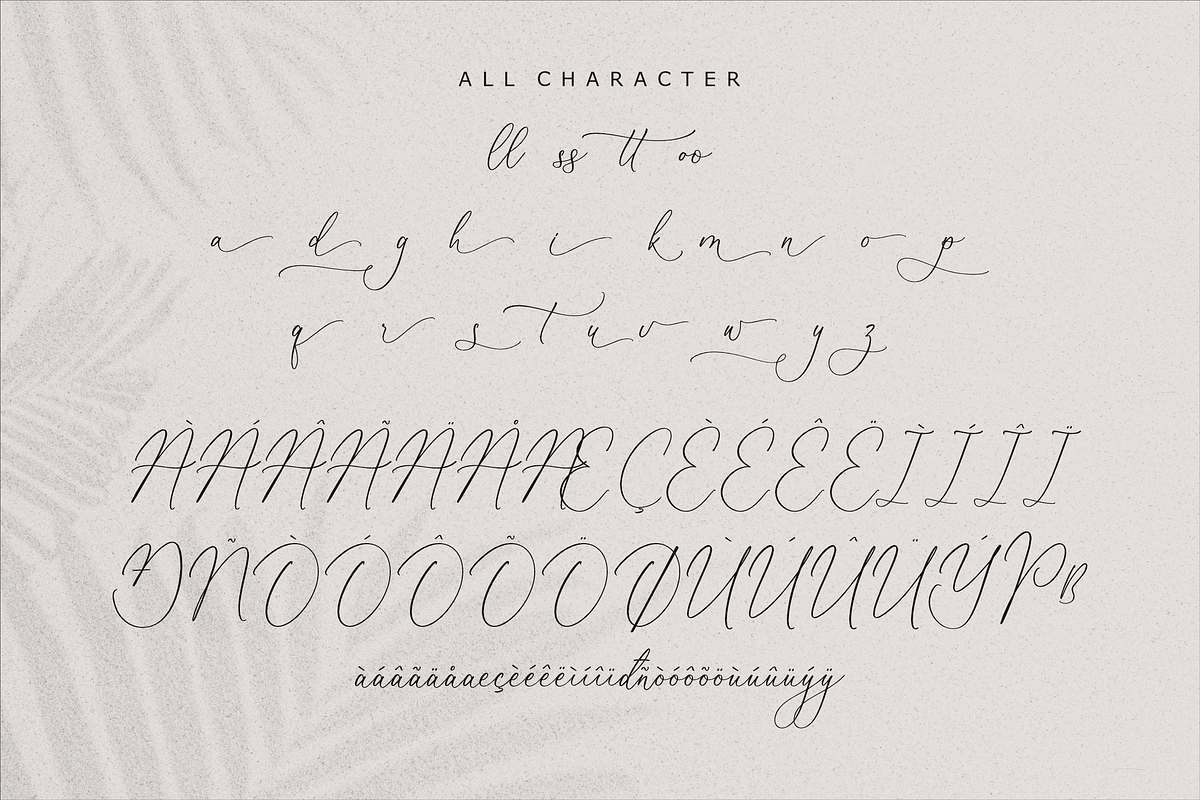 Beatrice Clorophil Chic Calligraphy, a Script Font by Storytype Studio (Photo 14 of 15)