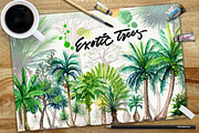 Watercolor Exotic Trees, an Illustration by Graphobia (Thumbnail 1 of 11)