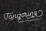 Sugar Cane, a Script Font by Uniontype (Thumbnail 7 of 8)