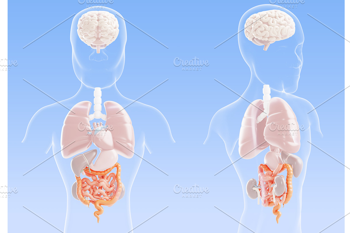 3d gastrointestinal tract disease -, a Healthcare Illustration by Marozhkastudio
